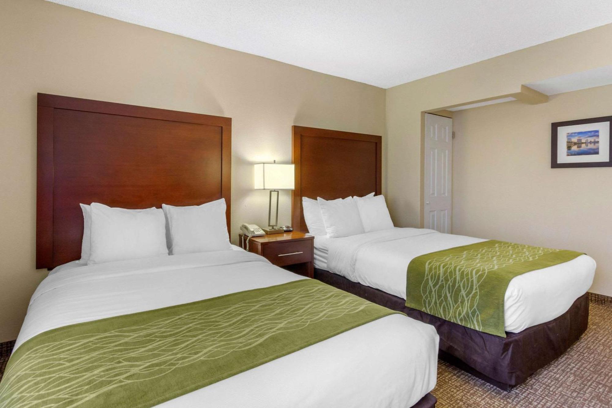 Comfort Inn St Petersburg North Exterior foto